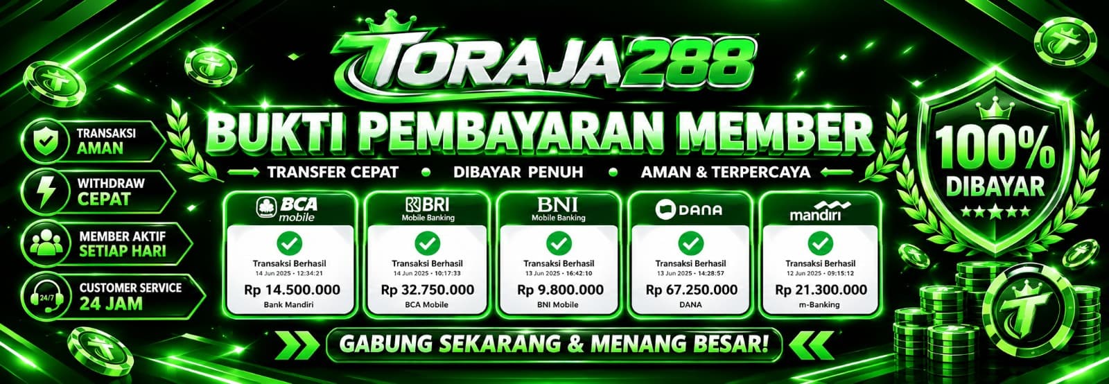 big-banner-promo