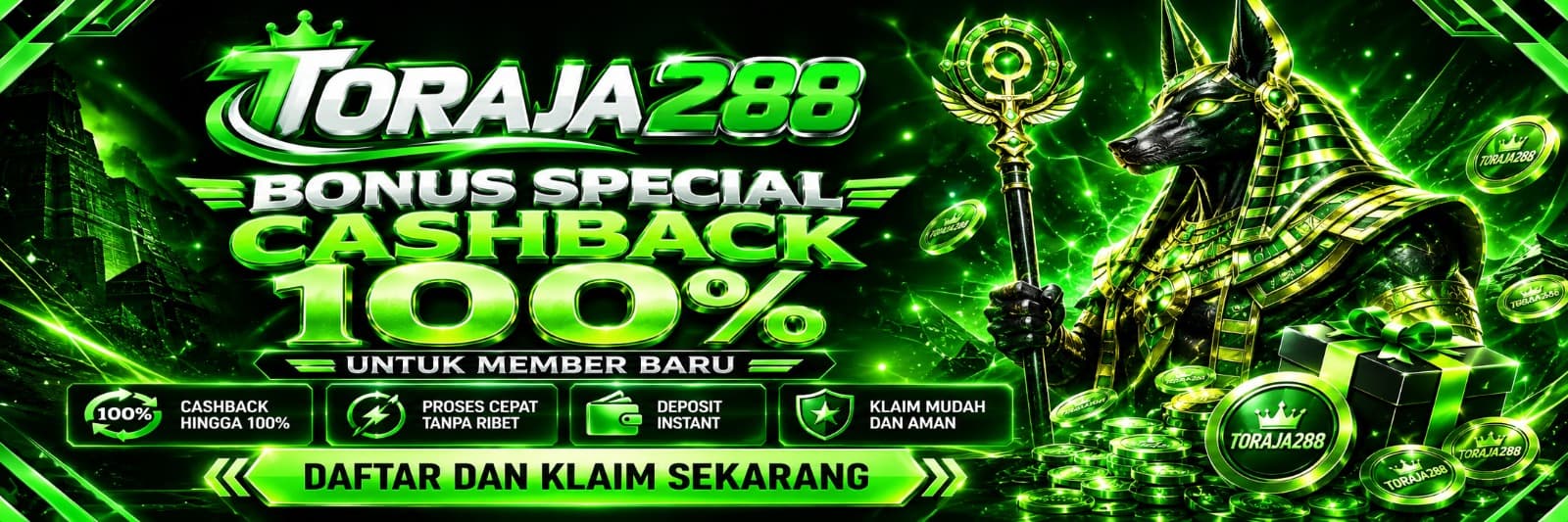 big-banner-promo